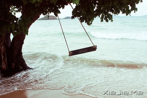 励志文章:不喧哗,自有声